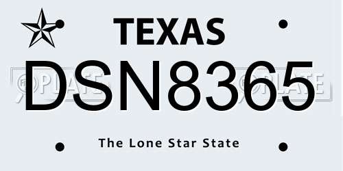 DSN8365 Texas License Plate