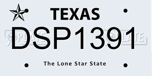 DSP1391 Texas License Plate