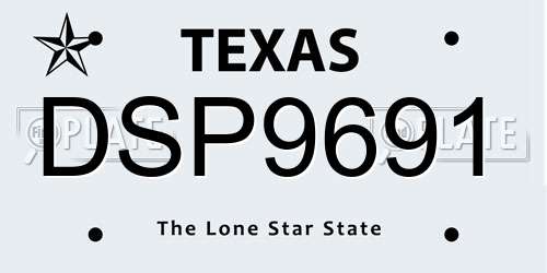 DSP9691 Texas License Plate