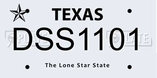 DSS1101 Texas License Plate