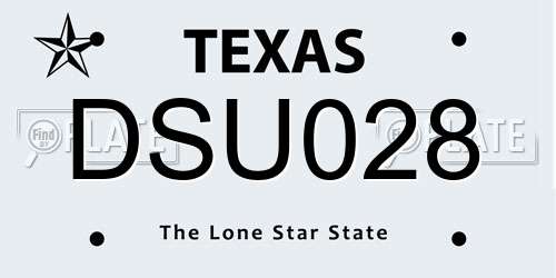 DSU028 Texas License Plate