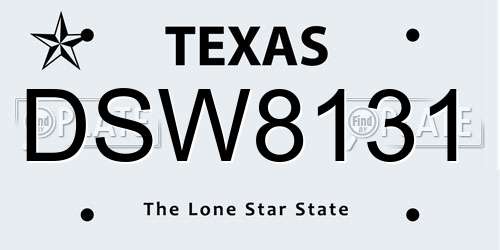 DSW8131 Texas License Plate