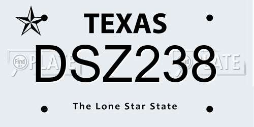 DSZ238 Texas License Plate