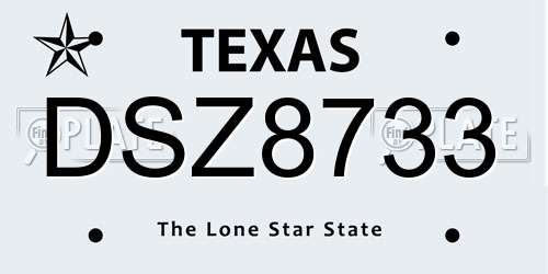 DSZ8733 Texas License Plate