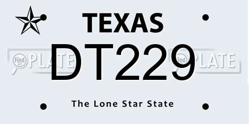 DT229 Texas License Plate