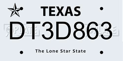 DT3D863 Texas License Plate