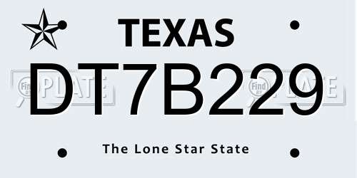 DT7B229 Texas License Plate