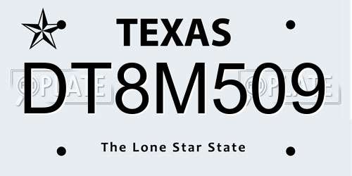 DT8M509 Texas License Plate