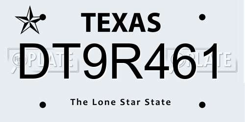 DT9R461 Texas License Plate