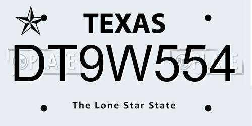 DT9W554 Texas License Plate
