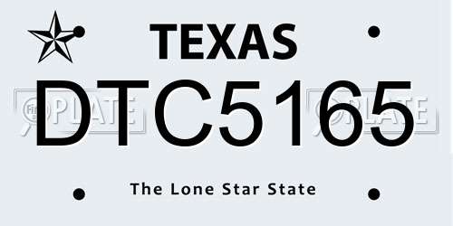 DTC5165 Texas License Plate