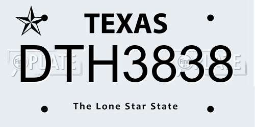 DTH3838 Texas License Plate