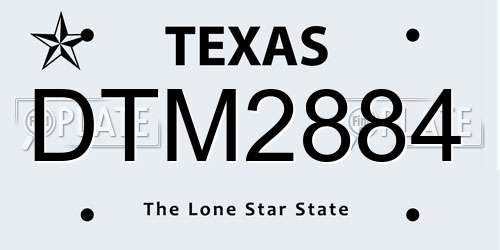 DTM2884 Texas License Plate