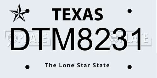 DTM8231 Texas License Plate