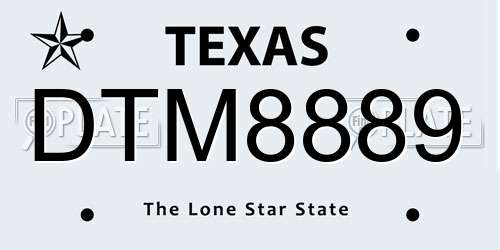 DTM8889 Texas License Plate