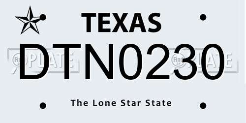 DTN0230 Texas License Plate