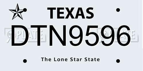 DTN9596 Texas License Plate