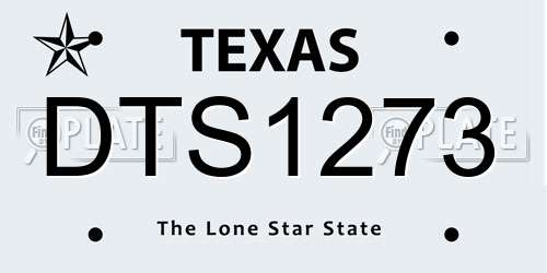 DTS1273 Texas License Plate