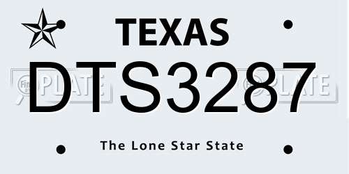 DTS3287 Texas License Plate