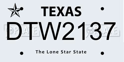 DTW2137 Texas License Plate