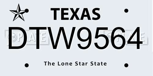 DTW9564 Texas License Plate