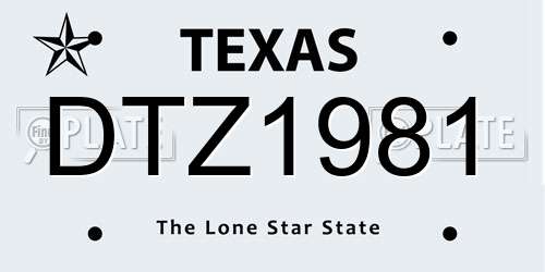 DTZ1981 Texas License Plate