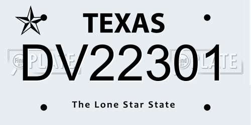 DV22301 Texas License Plate