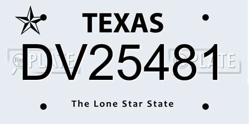 DV25481 Texas License Plate
