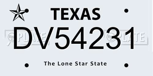 DV54231 Texas License Plate