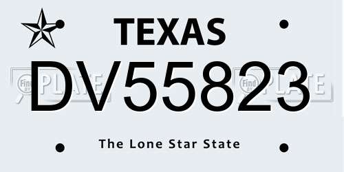 DV55823 Texas License Plate