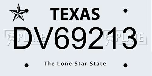 DV69213 Texas License Plate