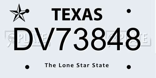 DV73848 Texas License Plate