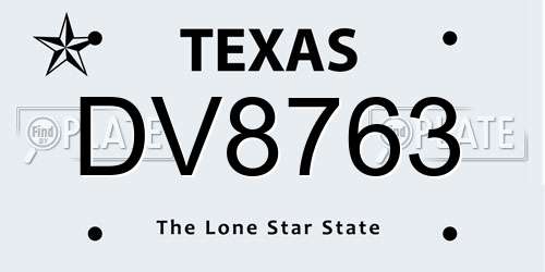 DV8763 Texas License Plate