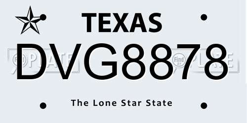 DVG8878 Texas License Plate
