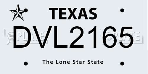 DVL2165 Texas License Plate