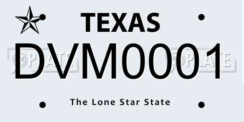 DVM0001 Texas License Plate