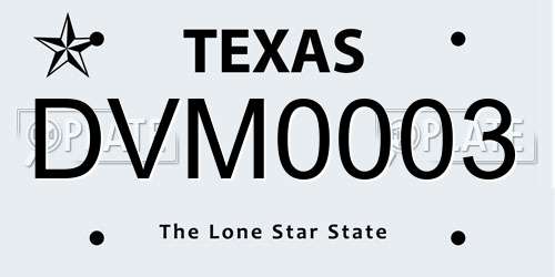 DVM0003 Texas License Plate