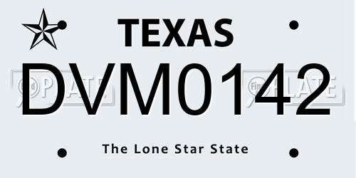 DVM0142 Texas License Plate