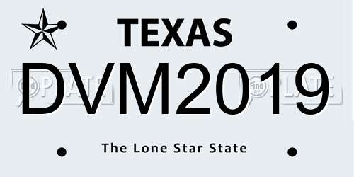 DVM2019 Texas License Plate