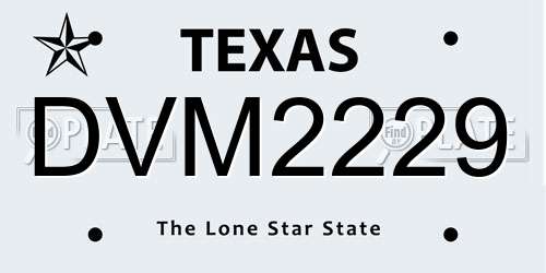DVM2229 Texas License Plate