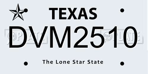DVM2510 Texas License Plate