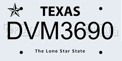 DVM3690 Texas License Plate