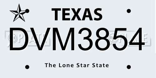 DVM3854 Texas License Plate
