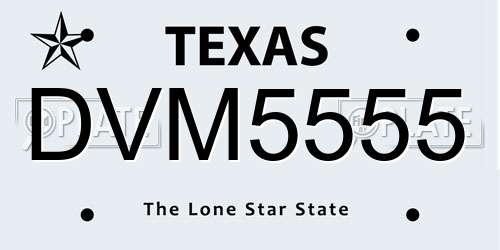 DVM5555 Texas License Plate