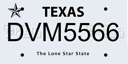 DVM5566 Texas License Plate