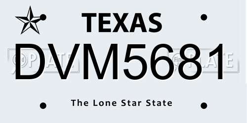 DVM5681 Texas License Plate
