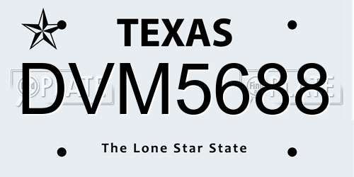 DVM5688 Texas License Plate