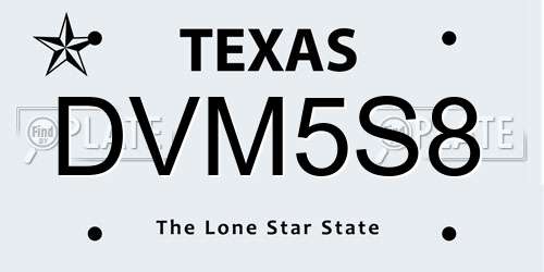 DVM5S8 Texas License Plate