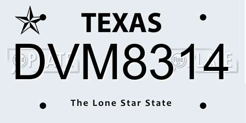 DVM8314 Texas License Plate