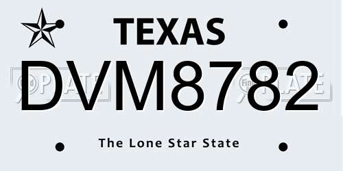 DVM8782 Texas License Plate